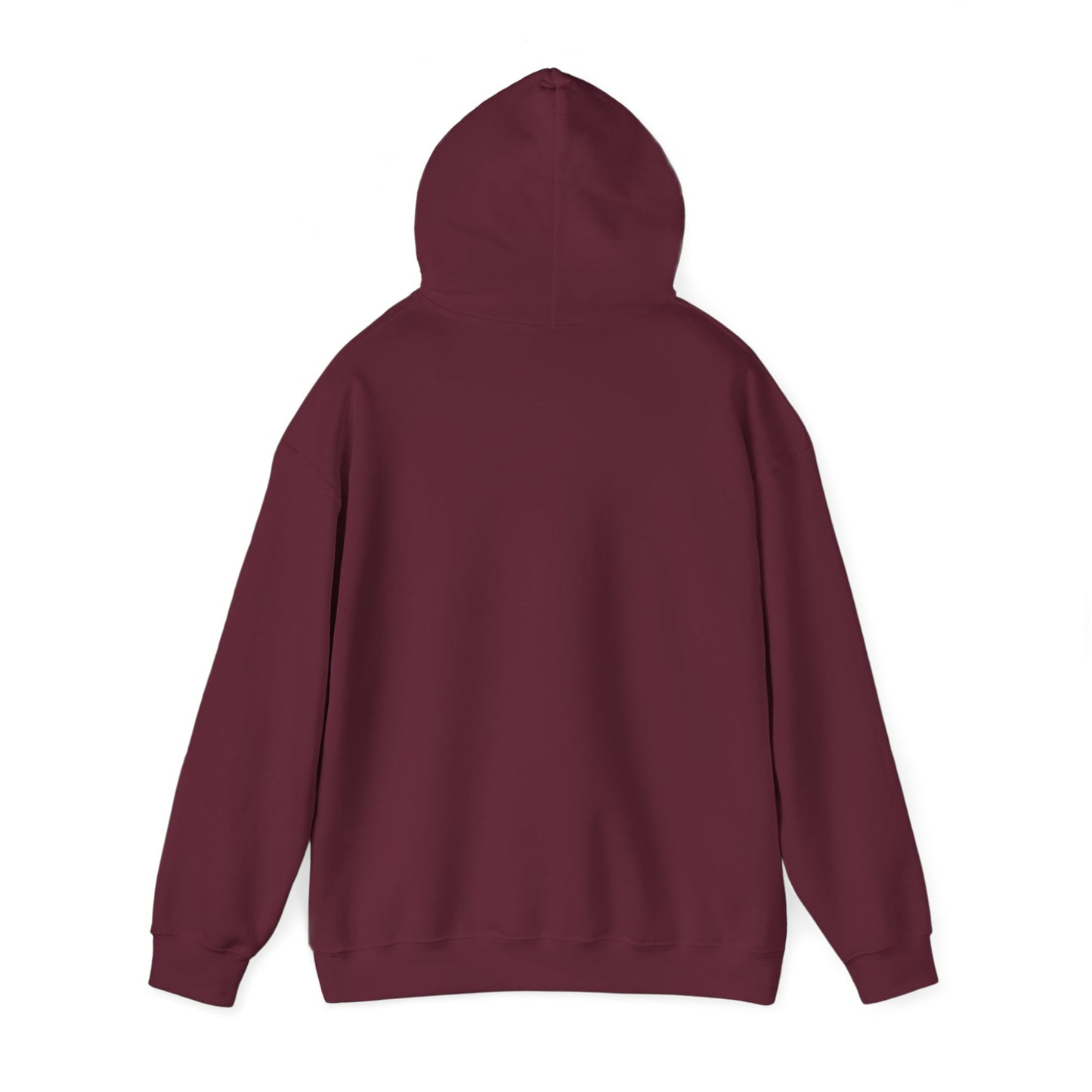 Unisex Hooded Sweatshirt - 'God Got This' Inspirational Hoodie