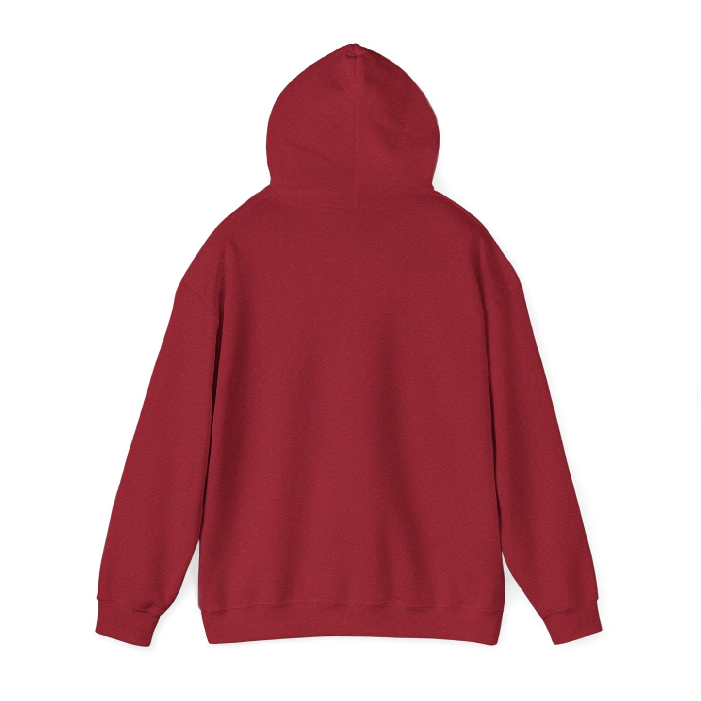 Unisex Hooded Sweatshirt - 'God Got This' Inspirational Hoodie
