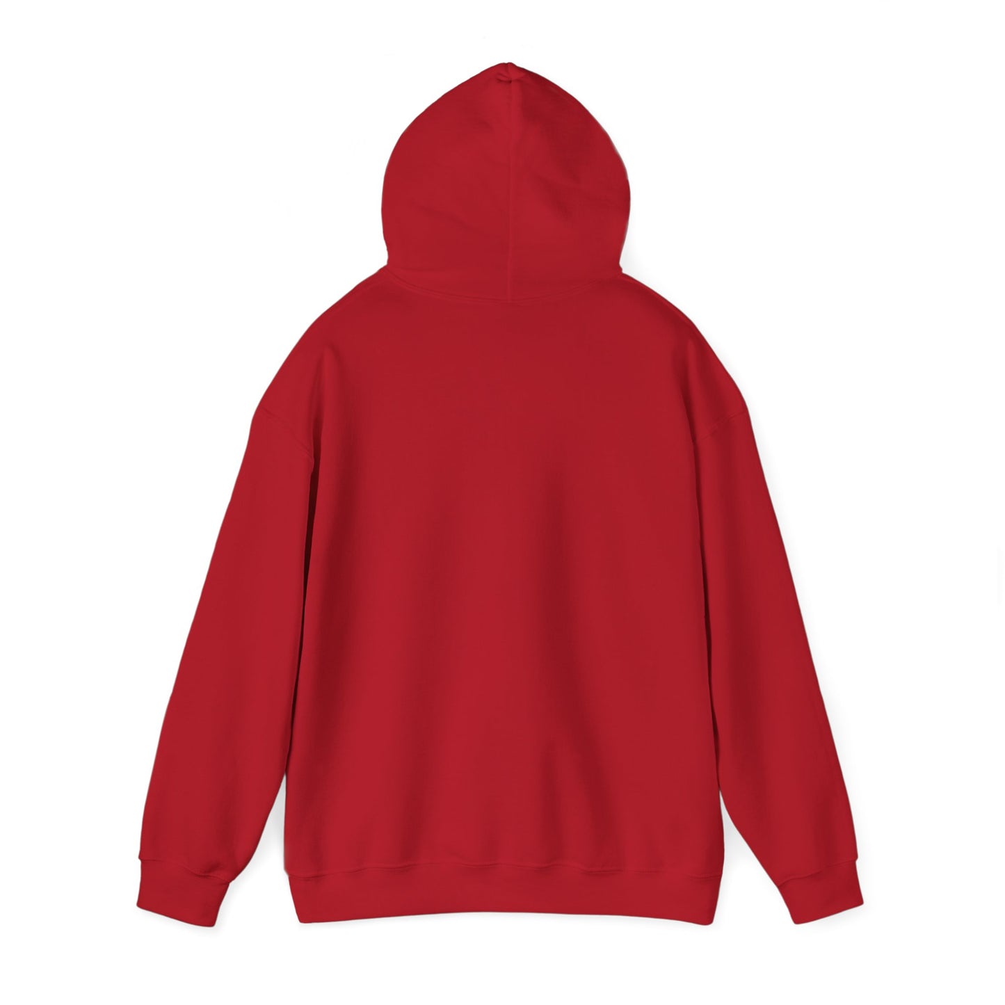 Unisex Hooded Sweatshirt - 'God Got This' Inspirational Hoodie