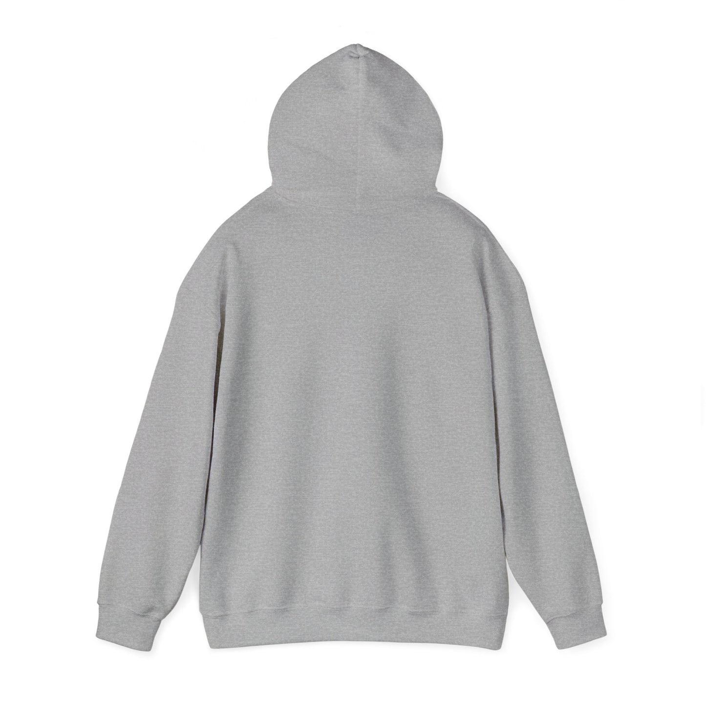 Unisex Hooded Sweatshirt - 'God Got This' Inspirational Hoodie