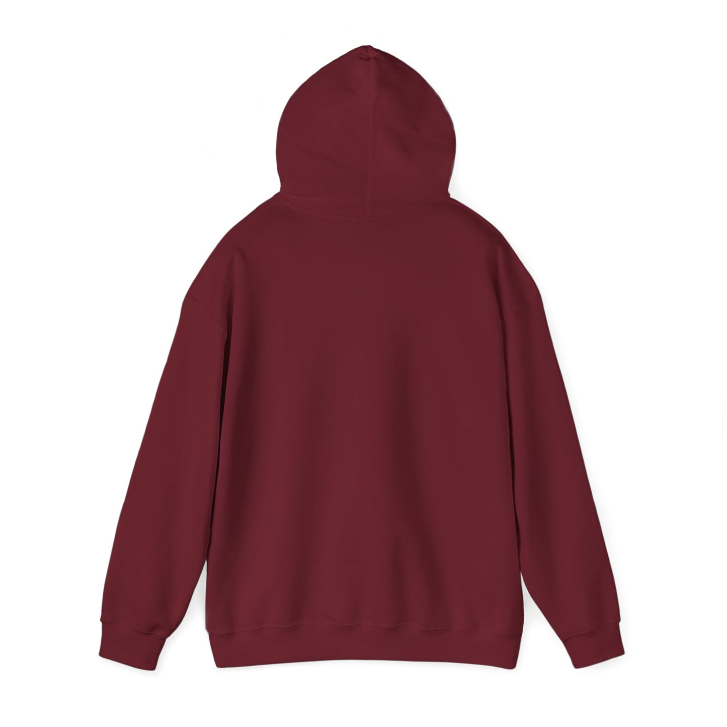Unisex Hooded Sweatshirt - 'God Got This' Inspirational Hoodie