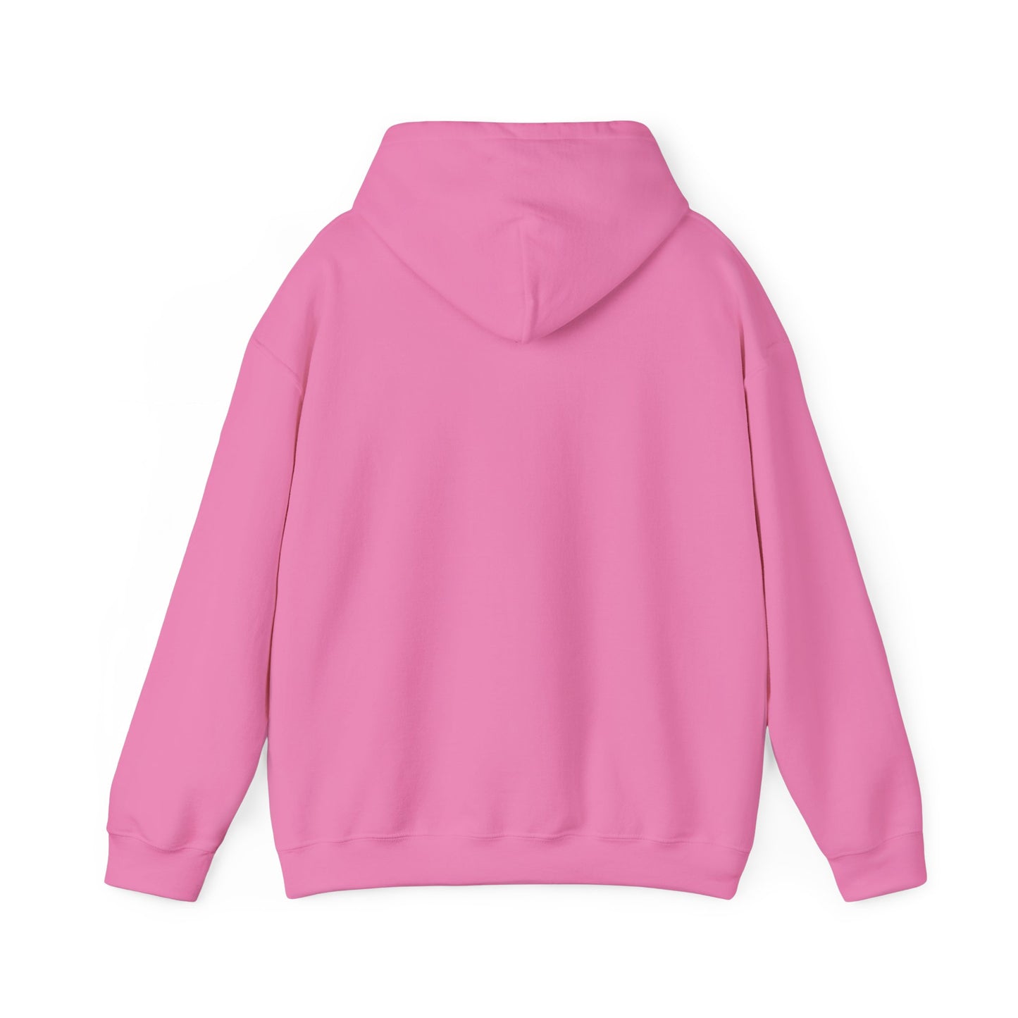 Inspirational Unisex Hoodie - 'Feel it, Heal it, Don’t Conceal it'