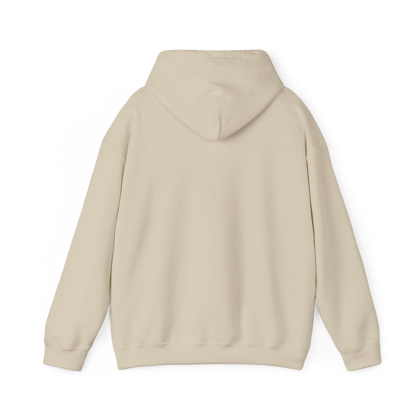 Inspirational Unisex Hoodie - 'Feel it, Heal it, Don’t Conceal it'