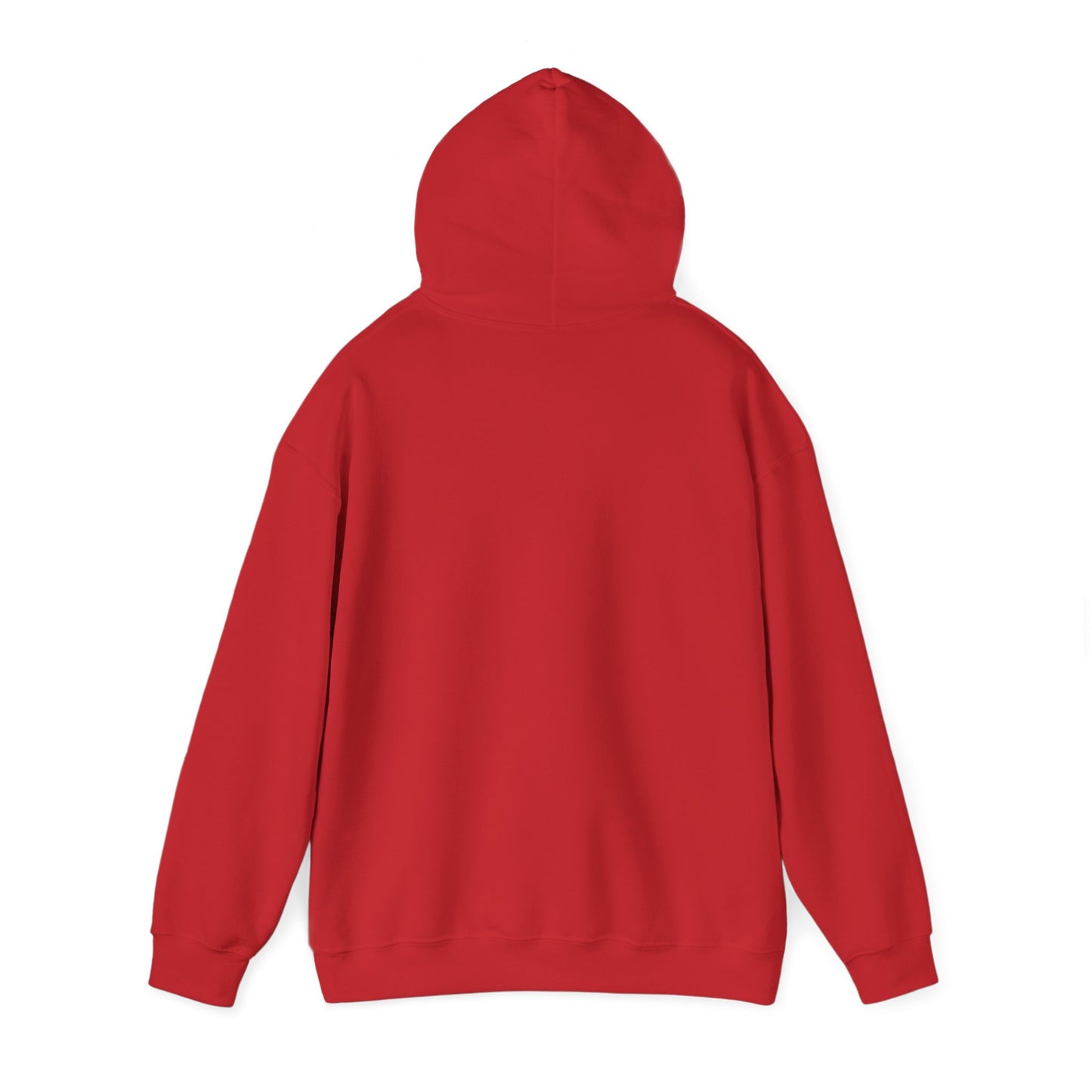 Unisex Hooded Sweatshirt - 'God Got This' Inspirational Hoodie