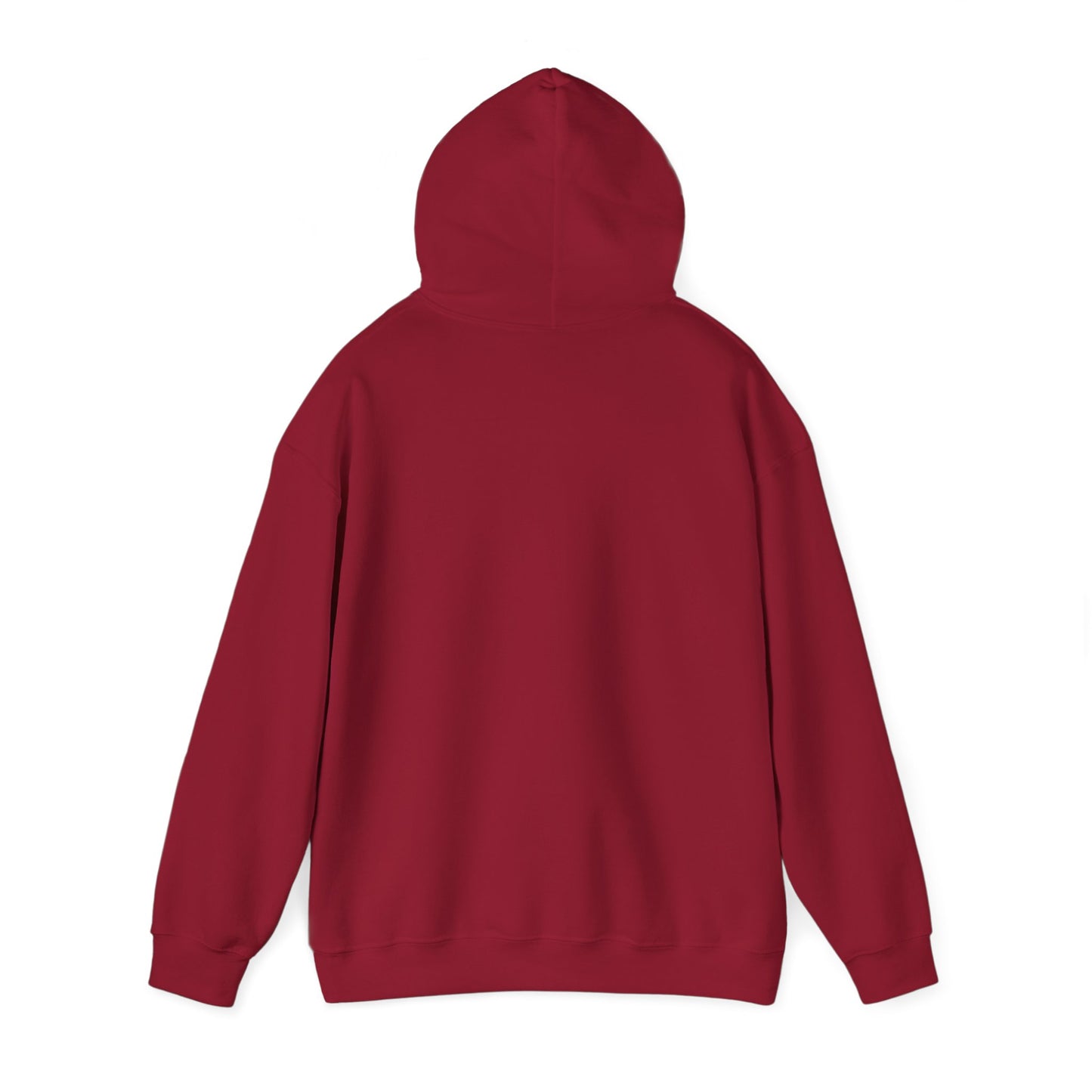 Unisex Hooded Sweatshirt - 'God Got This' Inspirational Hoodie